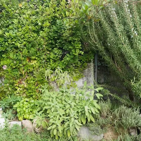 Villa La Tua Sul - Casa Kollegger